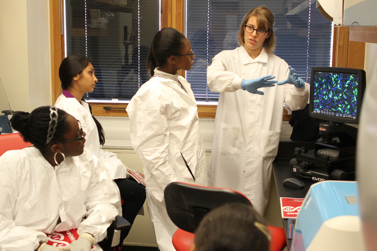 harvard medical school research labs